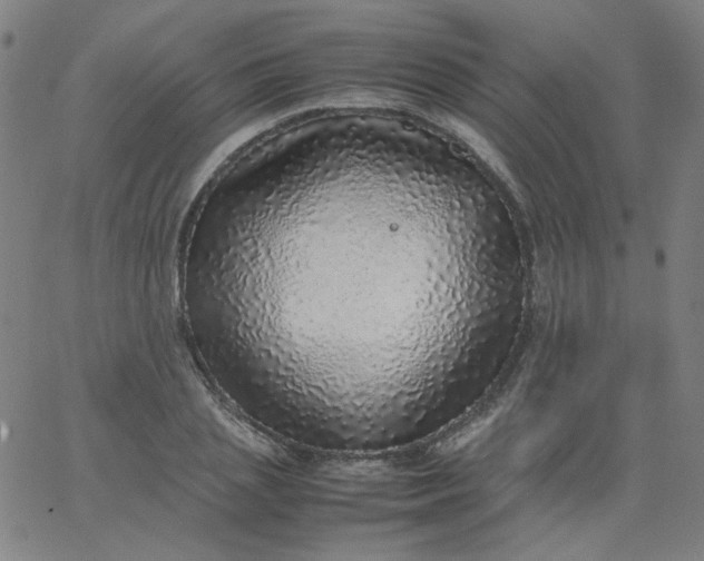 X0000067380837200604131904