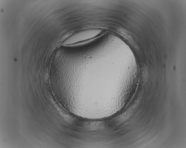 X0000067380841200604131904