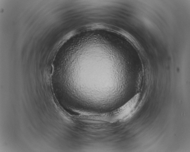 X0000067380857200604131905