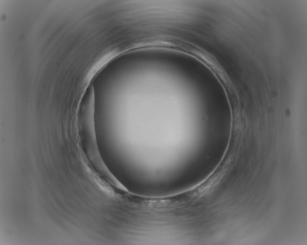 X0000067380858200604131905