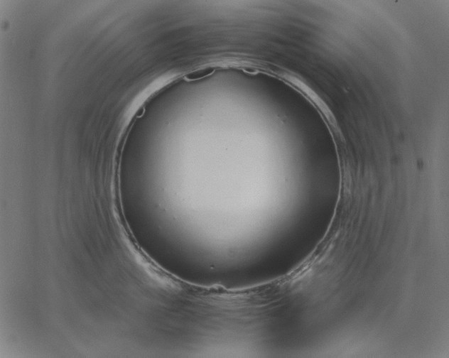 X0000067380861200604131905