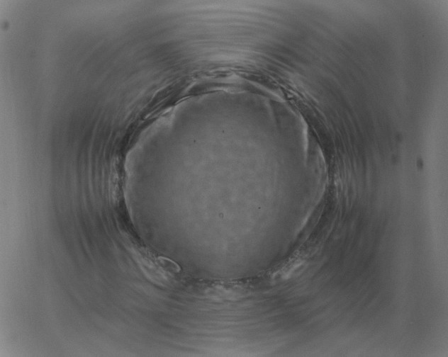 X0000067380868200604131904