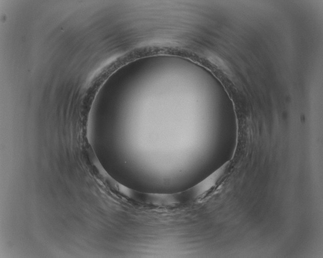 X0000067380872200604131904