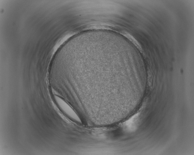 X0000067380893200604131903