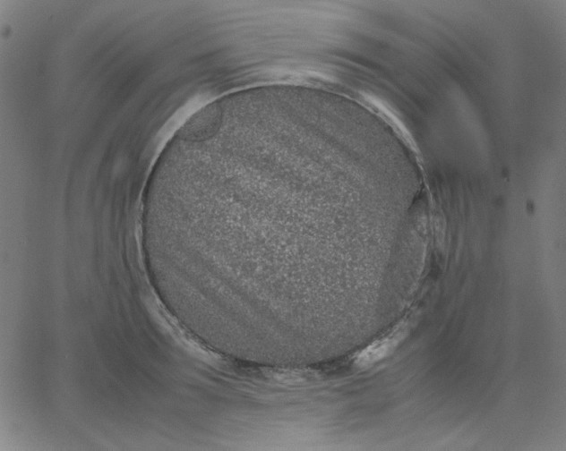 X0000067380899200604131903