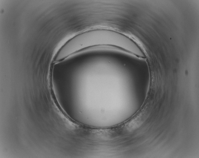 X0000067380902200604131903