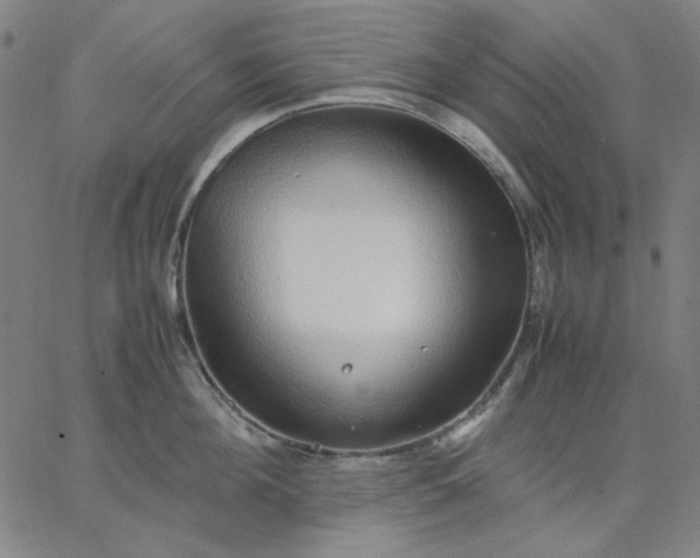 X0000067380908200604131903
