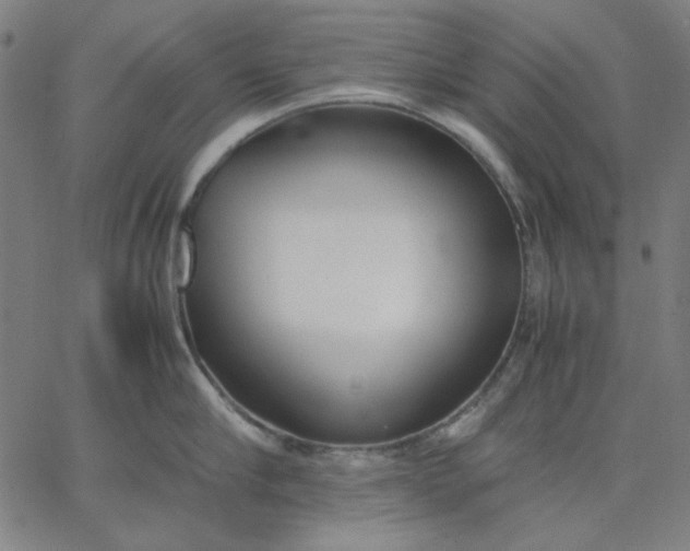 X0000067380910200604131903