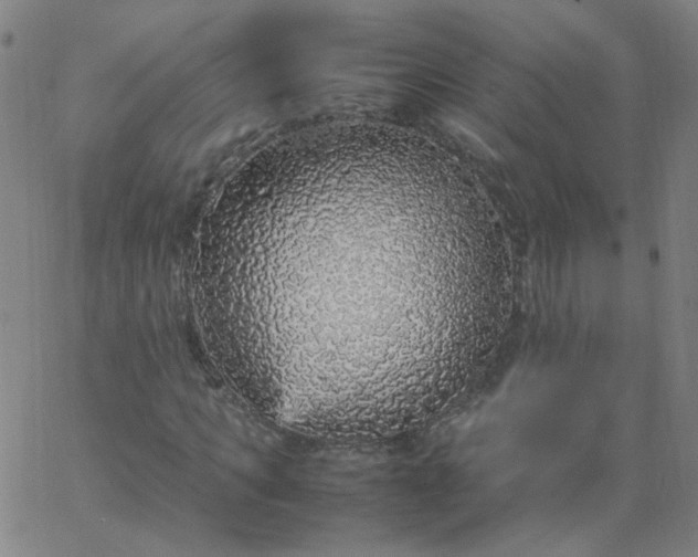 X0000067380917200604131902