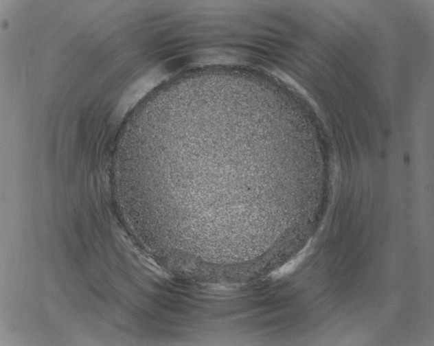 X0000067380921200604131903