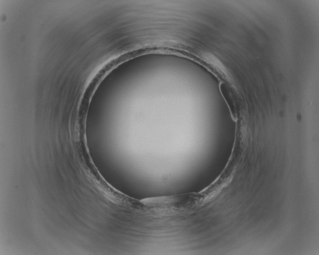 X0000067380924200604131903