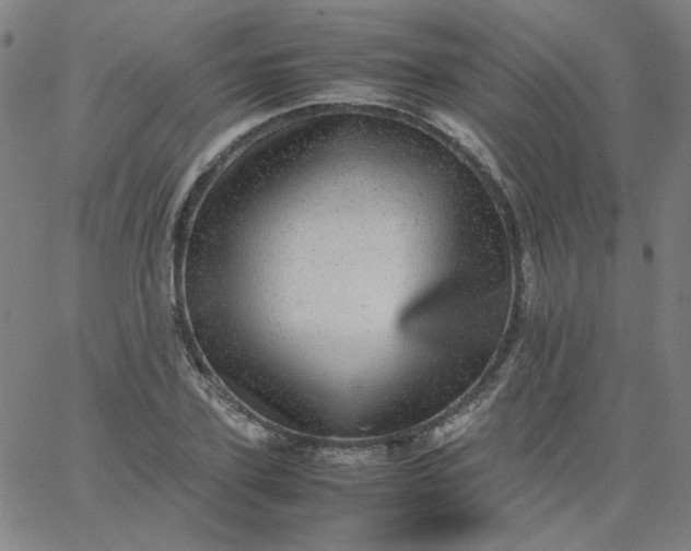 X0000067380931200604131903