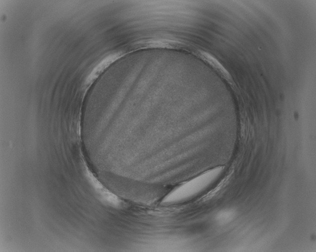 X0000067380938200604131903