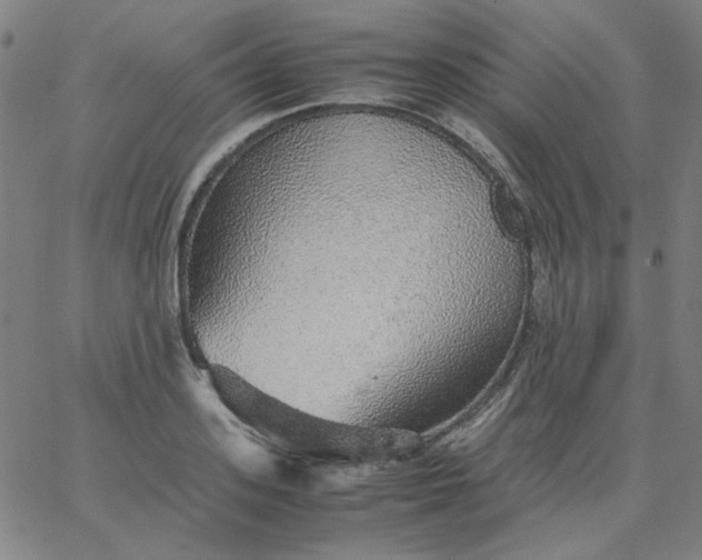 X0000067380939200604131903