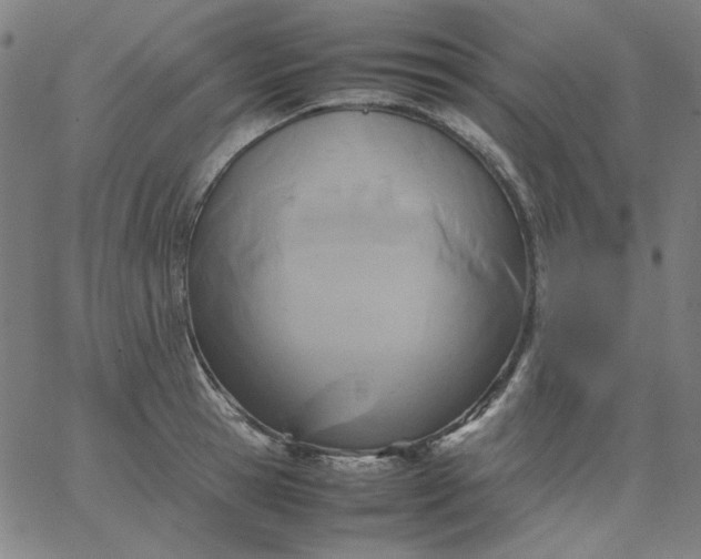 X0000067380945200604131903