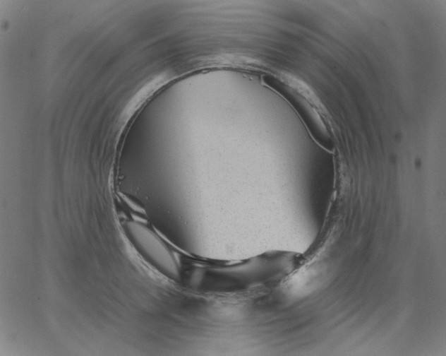 X0000067380946200604131903