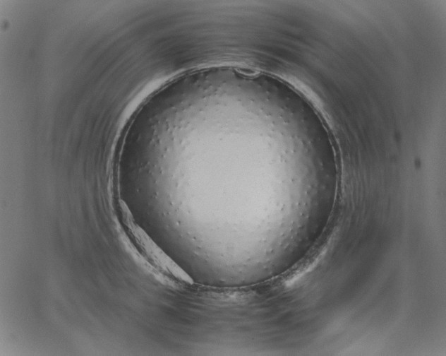 X0000067380949200604131903