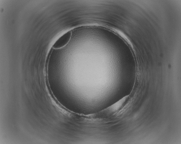 X0000067380951200604131903