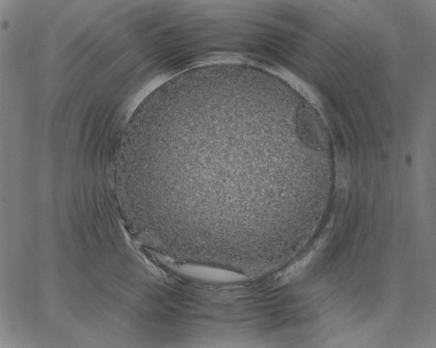 X0000067380953200604131903