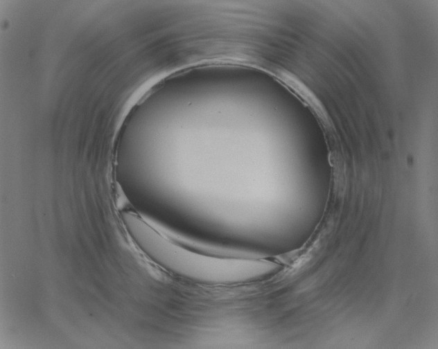 X0000067380956200604131903