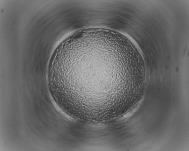 X0000067380957200604131903