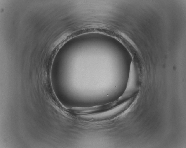 X0000067380969200604131902