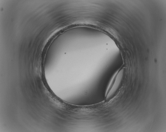 X0000067380984200604131902