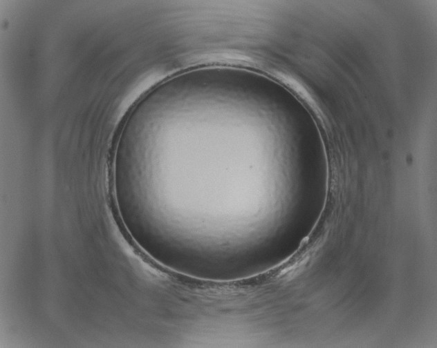 X0000067380999200604131902