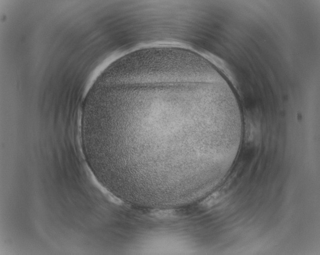 X0000067381006200604131902
