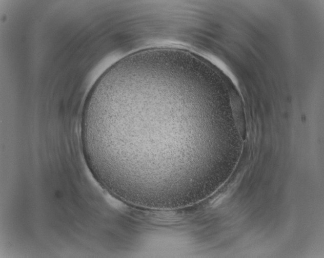 X0000067381007200604131902