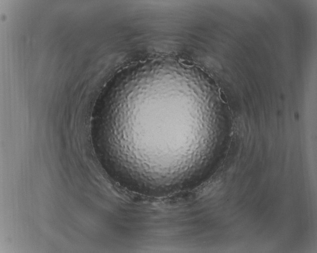 X0000067381009200604131901
