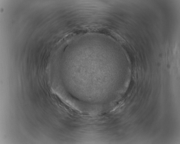 X0000067381010200604131901