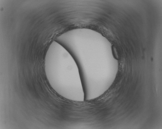 X0000067381012200604131901