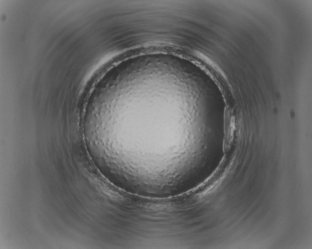 X0000067381021200604131901