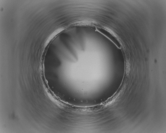 X0000067381042200604131901