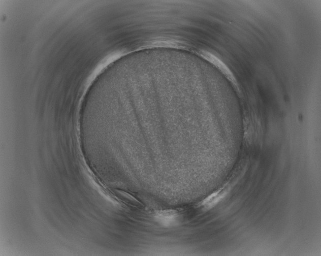 X0000067381043200604131901