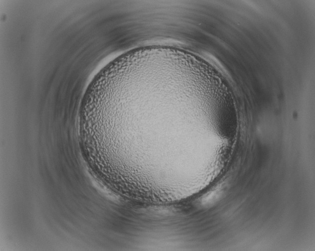 X0000067381044200604131901