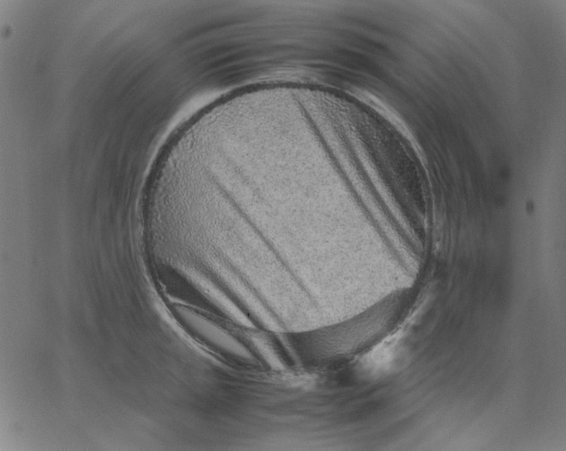 X0000067381045200604131901