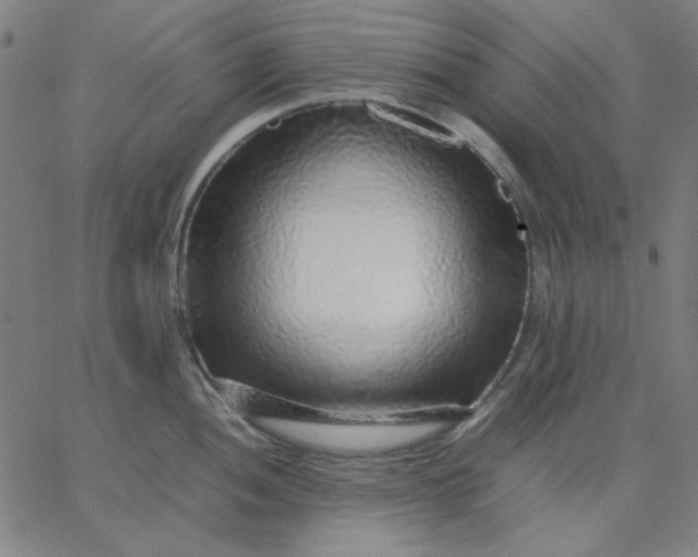 X0000067381052200604131901
