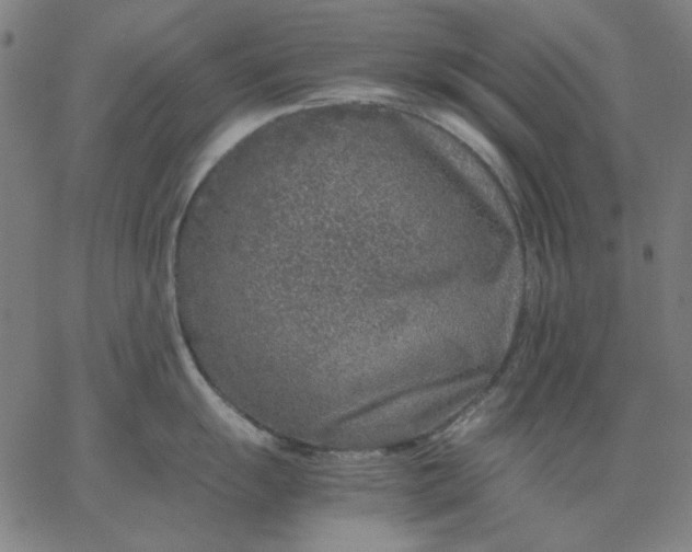 X0000067381055200604131902
