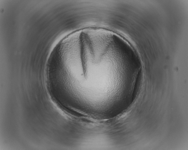 X0000067381056200604131902