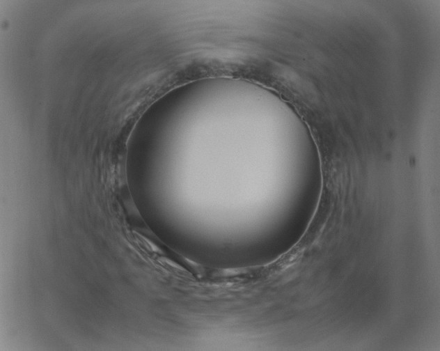 X0000067381061200604131901