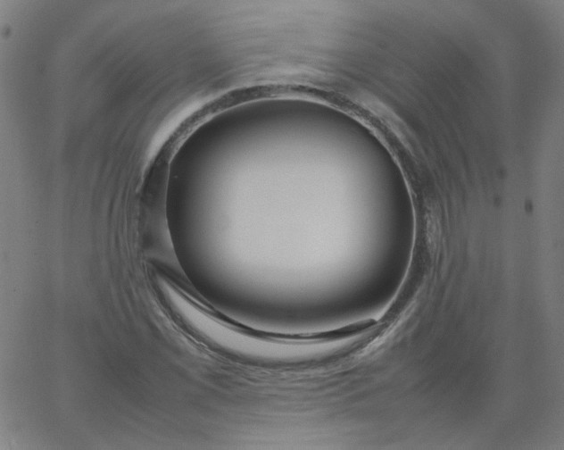 X0000067381069200604131901
