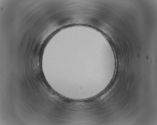 X0000067381070200604131901