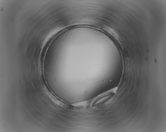 X0000067381072200604131901