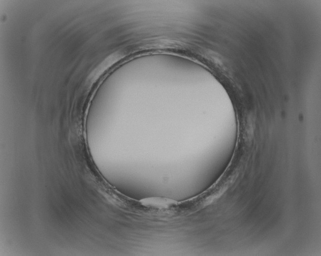 X0000067381073200604131901