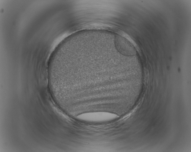 X0000067381075200604131900