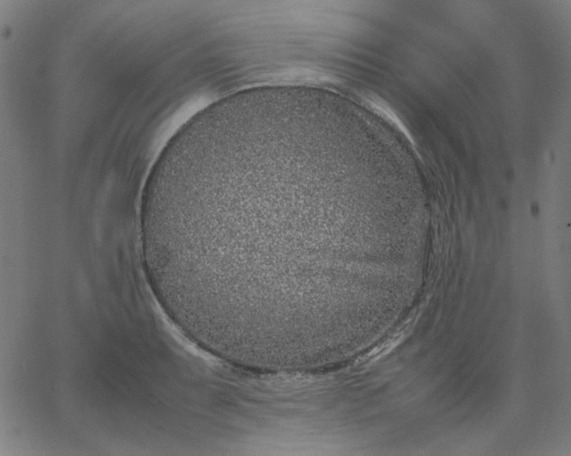 X0000067381087200604131900