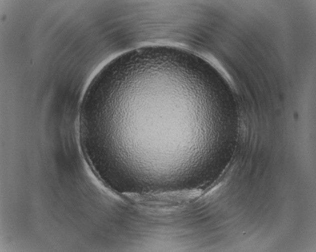 X0000067381100200604131900