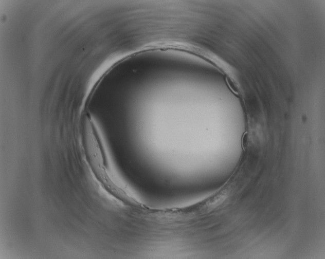 X0000067381102200604131900